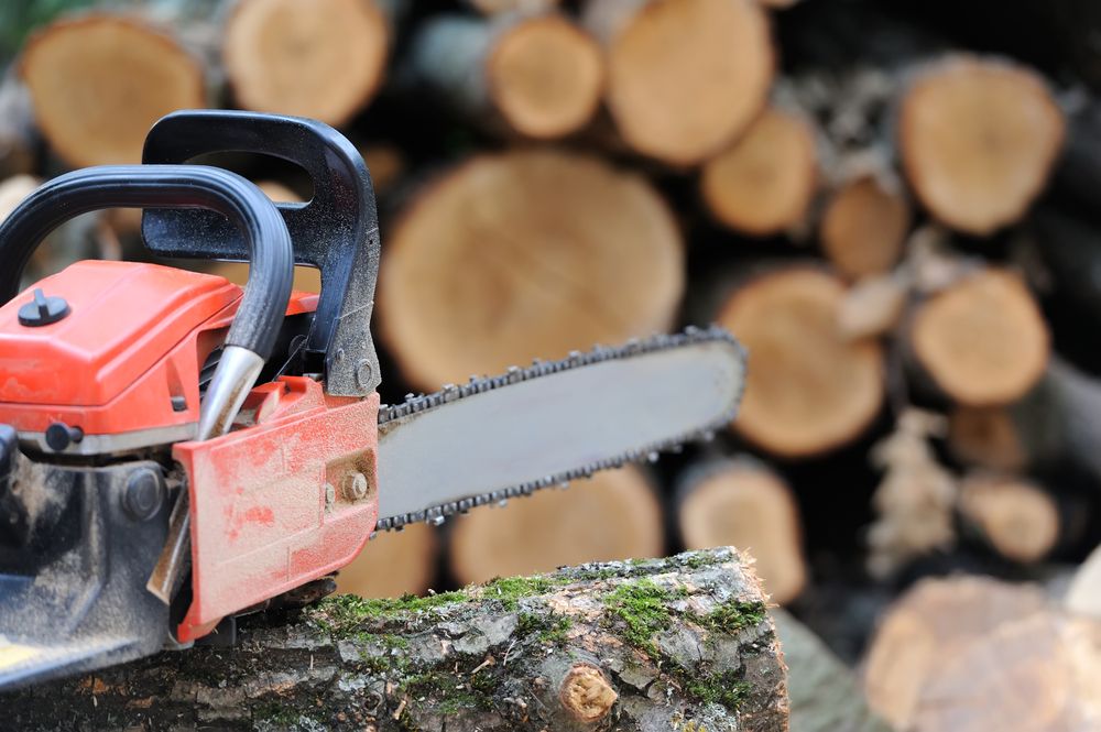 Arborist & Tree Trimming Safety